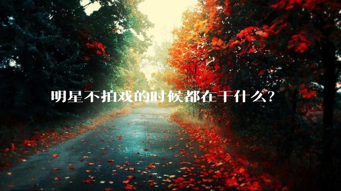明星不拍戏的时候都在干什么？