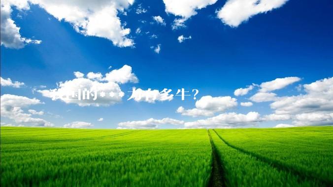 我国的***力有多牛？